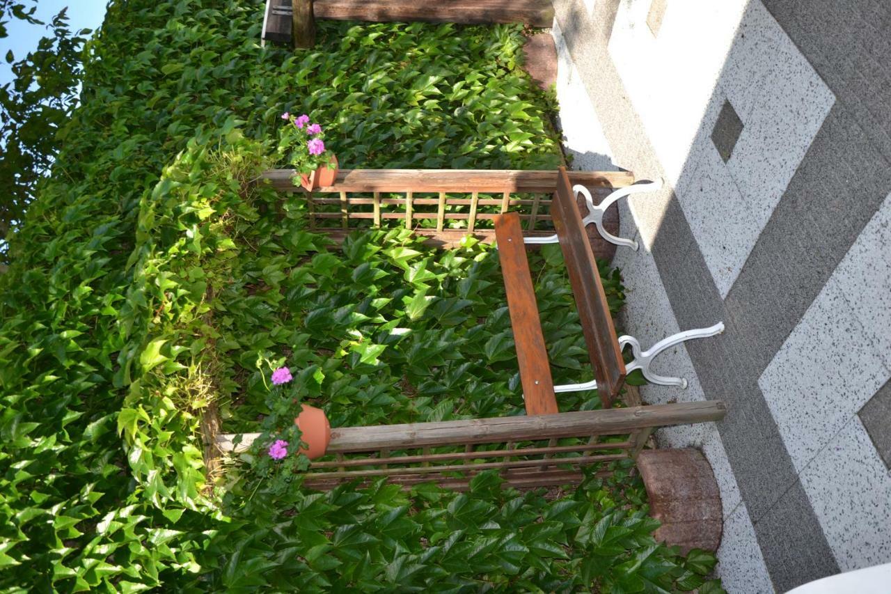 马克思汽车旅馆 法尔肯堡 外观 照片